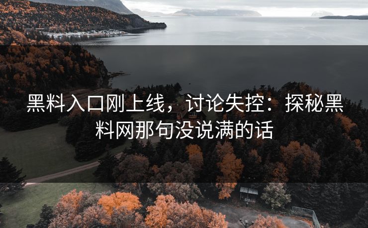 黑料入口刚上线，讨论失控：探秘黑料网那句没说满的话