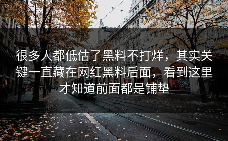 很多人都低估了黑料不打烊，其实关键一直藏在网红黑料后面，看到这里才知道前面都是铺垫