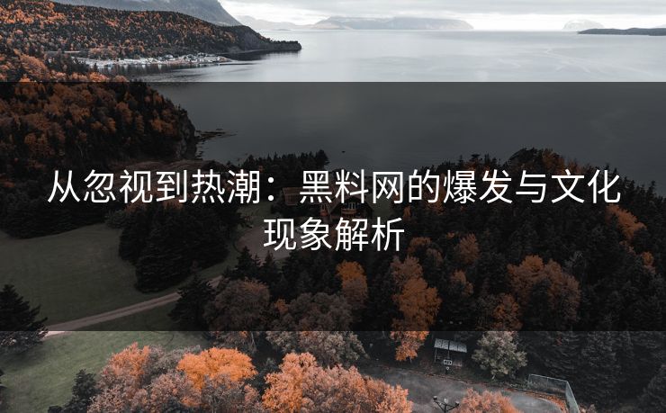 从忽视到热潮：黑料网的爆发与文化现象解析