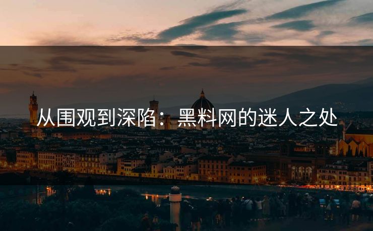 从围观到深陷：黑料网的迷人之处