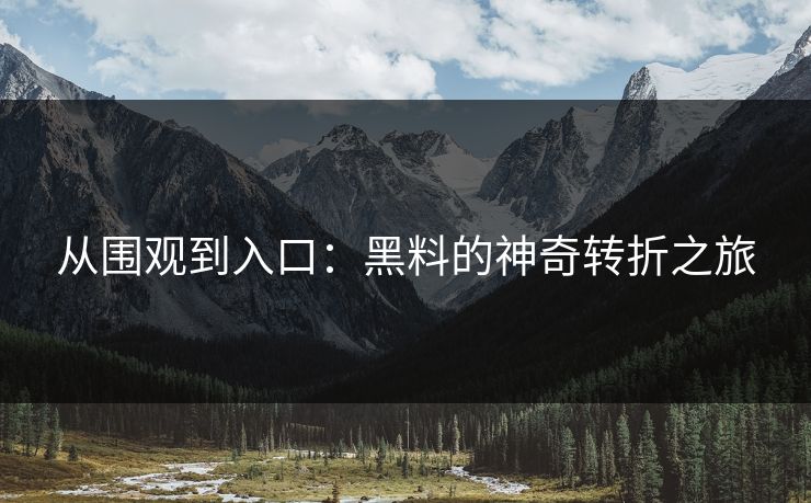 从围观到入口：黑料的神奇转折之旅