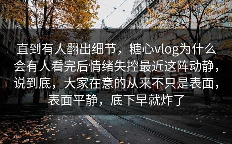 直到有人翻出细节，糖心vlog为什么会有人看完后情绪失控最近这阵动静，说到底，大家在意的从来不只是表面，表面平静，底下早就炸了
