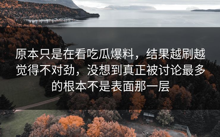 原本只是在看吃瓜爆料,结果越刷越觉得不对劲,没想到真正被讨论最多的根本不是表面那一层