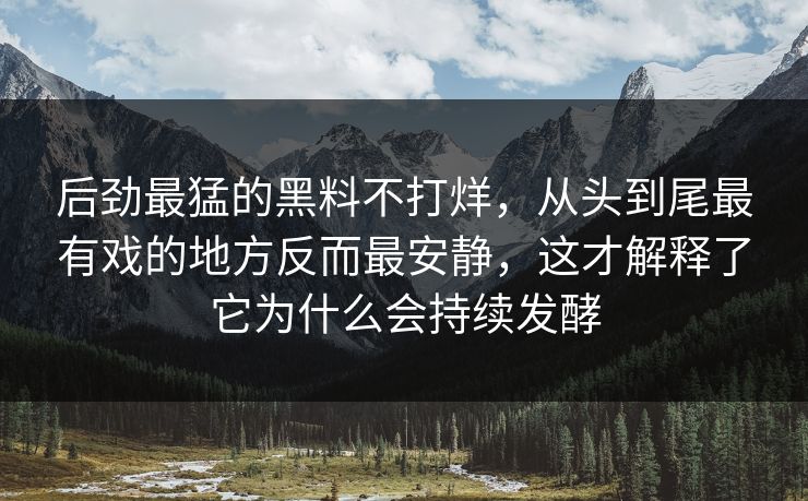 后劲最猛的黑料不打烊，从头到尾最有戏的地方反而最安静，这才解释了它为什么会持续发酵