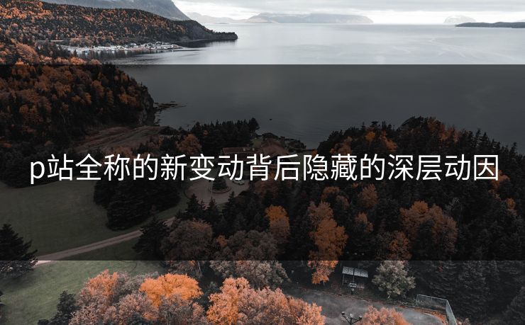 p站全称的新变动背后隐藏的深层动因