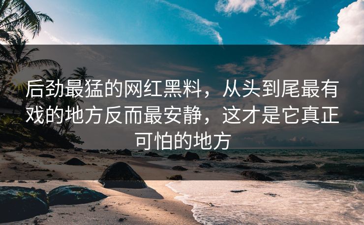 后劲最猛的网红黑料，从头到尾最有戏的地方反而最安静，这才是它真正可怕的地方