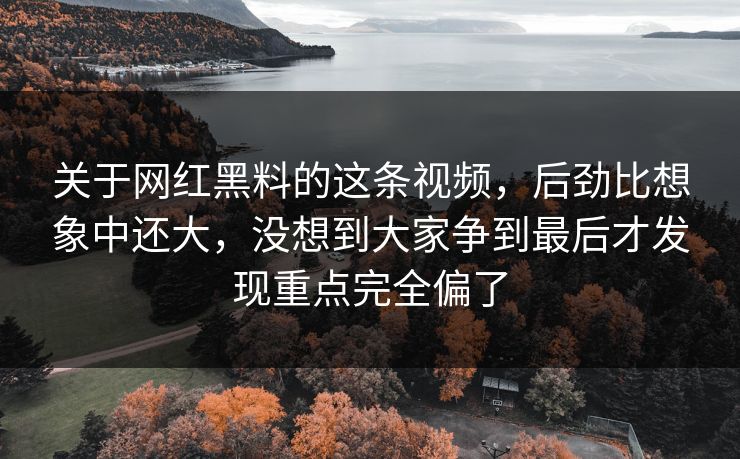 关于网红黑料的这条视频，后劲比想象中还大，没想到大家争到最后才发现重点完全偏了